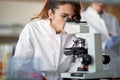 A young female student using a microscope in a laboratory. Science, chemistry, lab, people Royalty Free Stock Photo