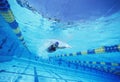 Young female swimmer in competition Royalty Free Stock Photo