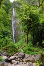 Young female tourist hiking to the famous Waimoku Falls at the head of the Pipiwai Trail, above Seven Sacred Pools on the Road to Royalty Free Stock Photo