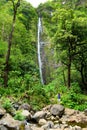 Young female tourist hiking to the famous Waimoku Falls at the head of the Pipiwai Trail, above Seven Sacred Pools on the Road to Royalty Free Stock Photo