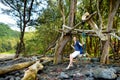 Young female tourist relaxing on a handmade swing on rocky beach of Pololu Valley on Big Island of Hawaii Royalty Free Stock Photo