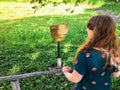 A young female tourist standing in front of a small wooden fence reading a sign in spanish that says beware of alligators. Royalty Free Stock Photo