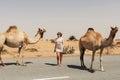 A young female tourist in sunglasses stands on the side of the road surrounded by a herd of camels, Dubai, UAE.