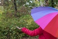 Young female under colorful umbrella checking rain with her hand Royalty Free Stock Photo