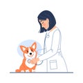 Young female veterinarian examining cute dog. Royalty Free Stock Photo