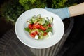 The young female waiter holding in her hands the plate with the Greek salad Royalty Free Stock Photo