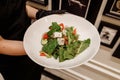 The young female waiter holding in her hands the plate with the Greek salad Royalty Free Stock Photo