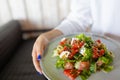 The young female waiter holding in her hands the plate with the Greek salad. Royalty Free Stock Photo