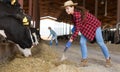 Young female worker arranging hay for feeding cows