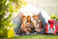 Young fiends have fun in tent