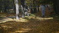 18.10.2017 Chernivtsi, Ukraine: Young fighter in gray hook running at autumn green and orange leaves park and brandish