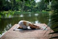 Young fit asian woman doing yoga by the lake in the morning park Royalty Free Stock Photo