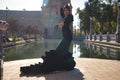 Young flamenco woman, Hispanic and brunette, with typical flamenco dance suit in black color and with tail, dancing with sun rays Royalty Free Stock Photo