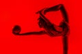 Young flexible female gymnast isolated on red studio background Royalty Free Stock Photo