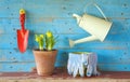 Young flower with gardening tools,