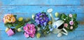 Young flowers and easter eggs in the springtime with garden tools, flat lay,copy space