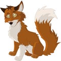 Young fox Royalty Free Stock Photo