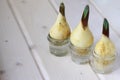 Young fresh bulbs of onions in a glass vase on a light wooden table, the concept of spring Royalty Free Stock Photo