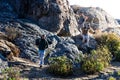 Young friends hiking in the mountains of Marcahuasi located in Peru. Group of hikers walking in nature. Royalty Free Stock Photo