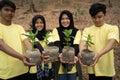 Young friends with new trees Royalty Free Stock Photo