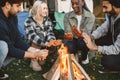 Young friends warming hands by fire at forest