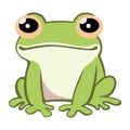young frog animal
