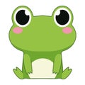 young frog cute