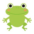 young frog green