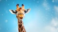 Young funny beautiful white-brown giraffe with big eyes on a blue background