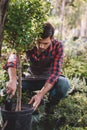 Gardener in apron planting tree while working in garden Royalty Free Stock Photo