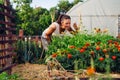 Young gardener in garden smelling flower Royalty Free Stock Photo