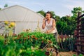 Young gardener in garden smelling flower Royalty Free Stock Photo