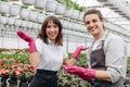 Young gardeners working in the greenhouse. Florist concept Royalty Free Stock Photo