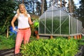 Young gardening woman watering salad plant