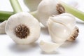 Young garlic