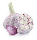 Young garlic heads and cloves on white background squar