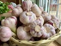 Young garlic lies in a wicker basket. A bunch of large heads of fresh garlic. Natural vitamins