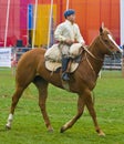 Young gaucho Royalty Free Stock Photo