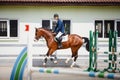 Young gelding horse and adult man rider galloping during equestrian showjumping competition in daytime