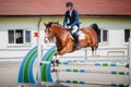 Young gelding horse and handsome man rider jumping obstacle