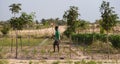 Young Ghana woman watering her land