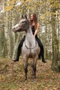 Young girl with appaloosa horse in autumn Royalty Free Stock Photo