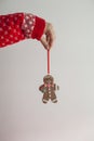 Young girl arm holding a gingerbread doll Royalty Free Stock Photo