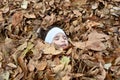 Young girl and the autumn leaves Royalty Free Stock Photo