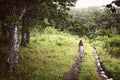 Young girl from the back in a dress walking alone in the forest