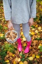 A young girl with a basket of mushrooms is standing in pink rubber boots Royalty Free Stock Photo