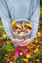 A young girl with a basket of mushrooms is standing in pink rubber boots. Focus on mushroom basket Royalty Free Stock Photo