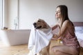 Young girl in the bathroom wipes her dog with a towel, woman dries a golden retriever after bathing Royalty Free Stock Photo