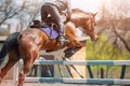 Young girl on horse jumping over hurdle on trial