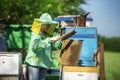 A young girl beekeeper in apiary Royalty Free Stock Photo